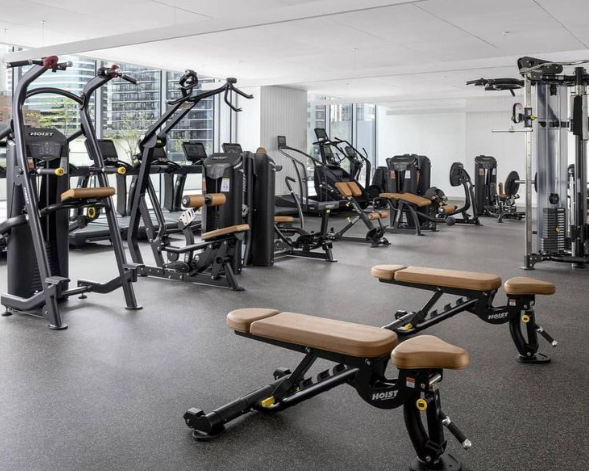 Gym Equipment